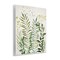 Stupell Industries Delicate Herbs & Leaves Wall Plaque Art Design by Hannah Dawson